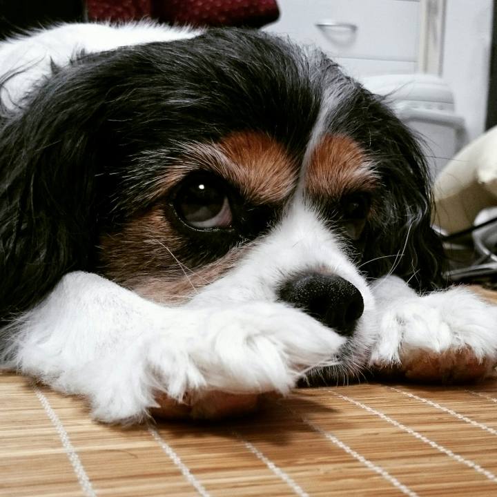 2b3d8b66 67c8 4ee3 8d33 9182f7a83fa3 1527854127690