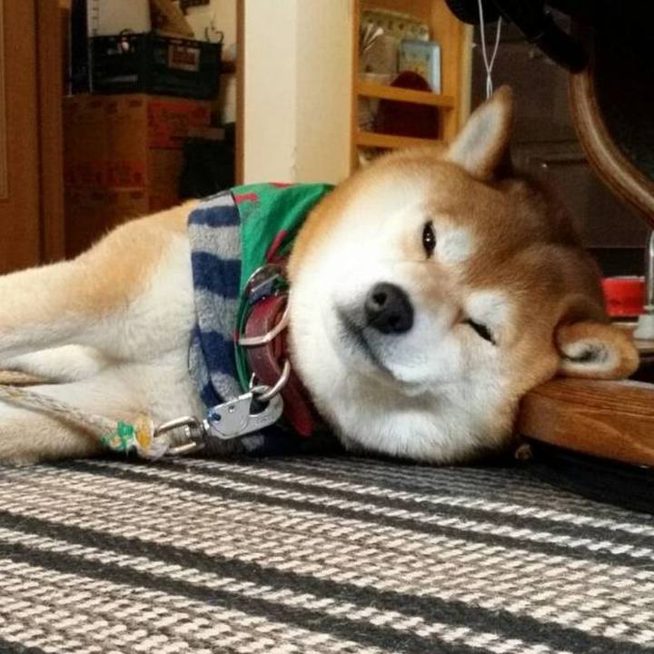 2b3d8c03 002d 4371 870e d4936ece04f3 1711173759700