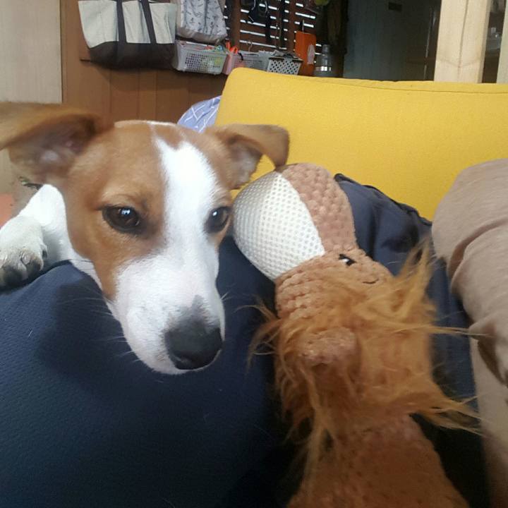 2b3da9db e0af 42e8 82dd 556b891c1c2a 1560577198889