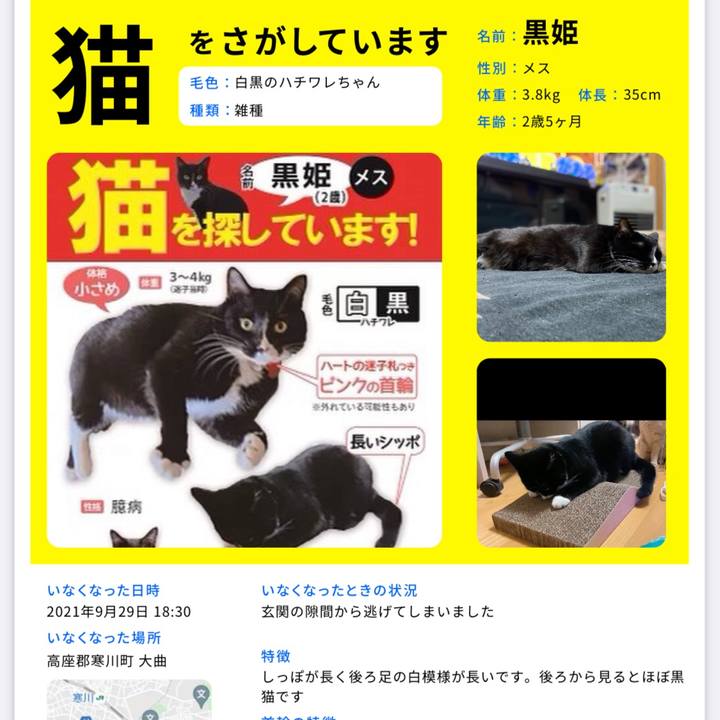 2b3dc5e4 c2fc 4eb0 b0c5 ea74f6ecbec3 1637738486157