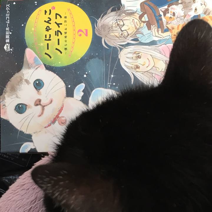 2b3df8a1 99de 4946 b7d8 3efd3eff2263 1548833683680