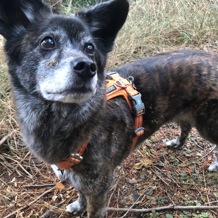 2b3e3968 7fc3 4152 b46e a16e30427c5f 1675162364405