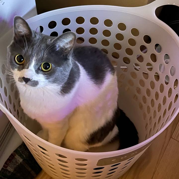 2b3e67ff d2cc 4a25 bc2f f920c3947072 1658662451050