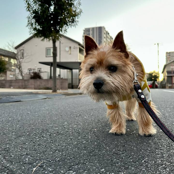 2b3e70c0 412a 4729 b784 4a8e21087dea 1736817670214