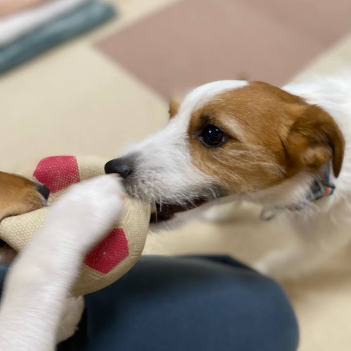 2b3eb505 80a6 4f1e 9e60 0b9b3707fc9c 1744406398394