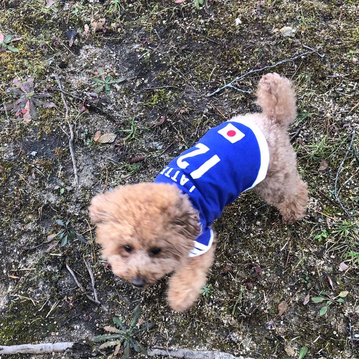 2b3ed74a bad8 4d7d a6d1 66d887478766 1578795644021