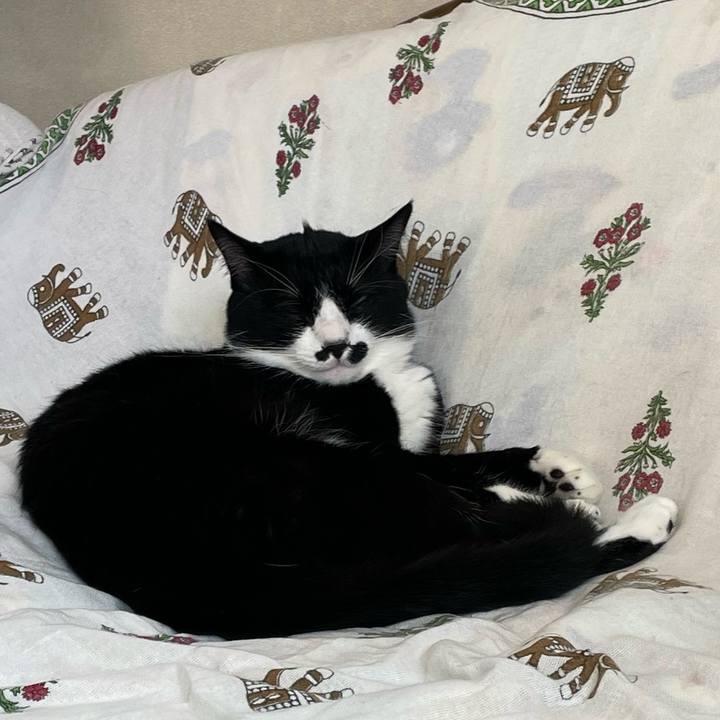 2b3f03c4 58c3 44c4 a95e 0257caa65b3d 1655073946411