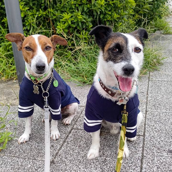 2b3f6cc0 cff4 4943 a098 ef05d1e9fee6 1660689729857