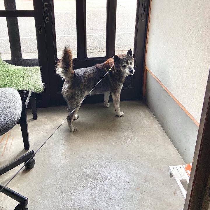 2b3f9725 5be5 46d6 b00b 115bc16ef706 1749682321597