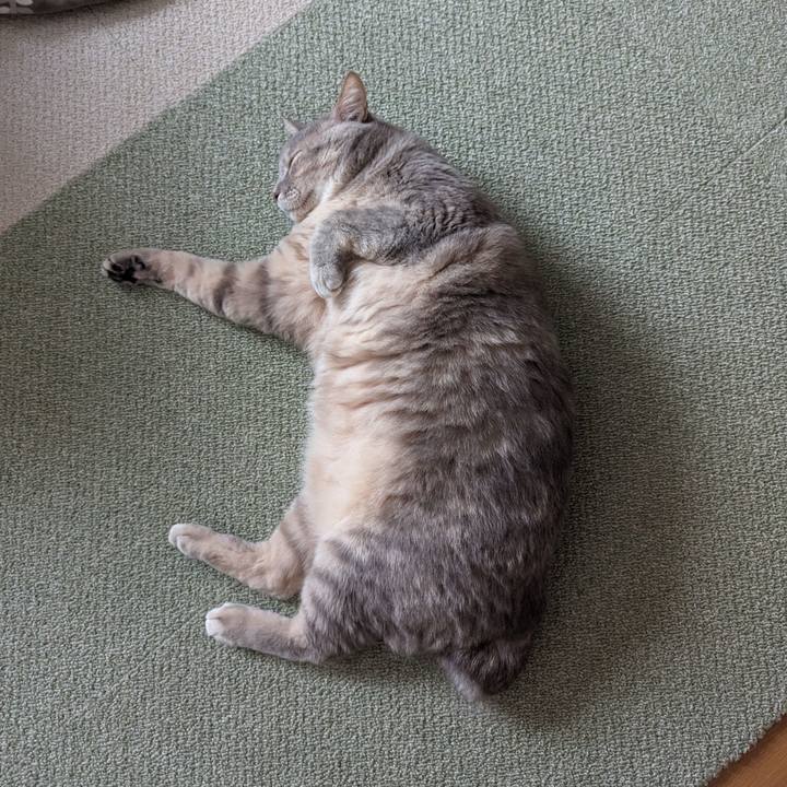 2b3fc332 2b08 44f0 ae73 a098d54ff6a3 1708577267734