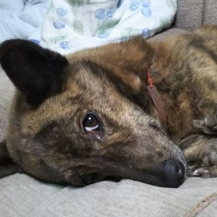 2b3fe572 4802 4fef 8bb3 c0f9292ae4f9 1618480188771