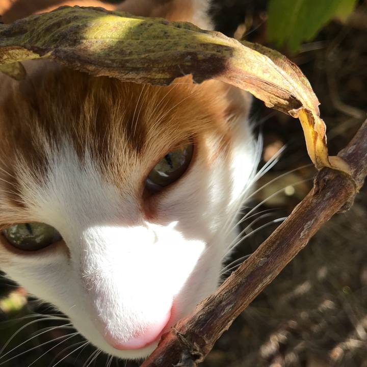 2b402069 9471 4dc8 b032 0bf09b476e83 1512096005657