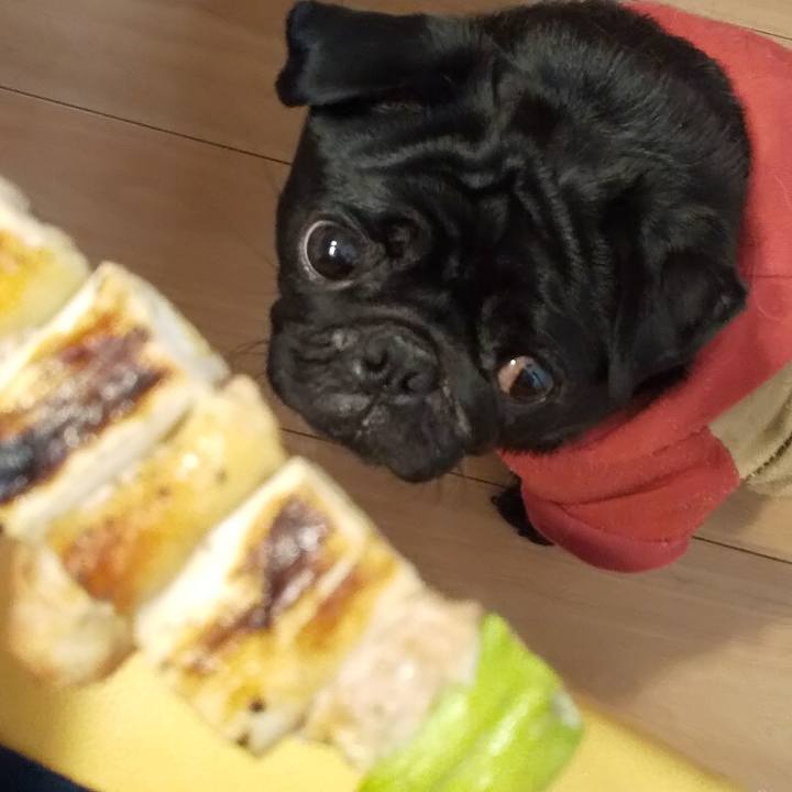 2b40229d 48fc 4e0a 9d80 e3cb9fe9a63e 1606040738107