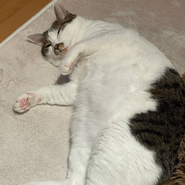 2b405244 0b31 462a a917 60a302181c6b 1774907881394