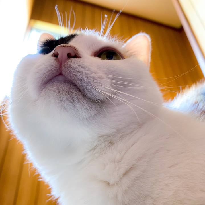 2b406aae 7272 4e54 9b70 4d5b56444d6b 1563841470544