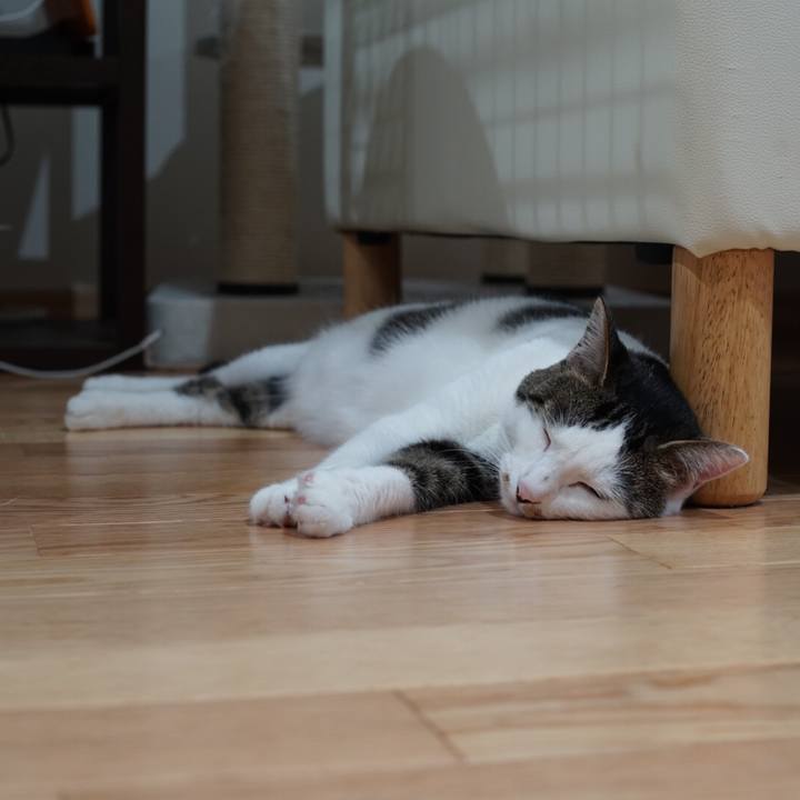 2b407206 8ec7 4ed9 ac57 11b31bfce731 1530142488916