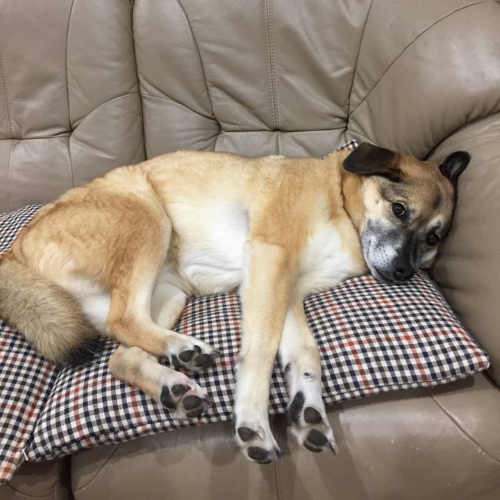 2b40a315 fc04 4ca4 97b2 43b8539732ab 1518516340738