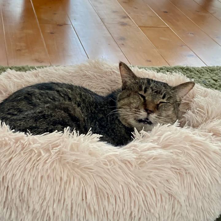 2b40a662 4a0f 474e 82a0 bf5e87398834 1686649058048