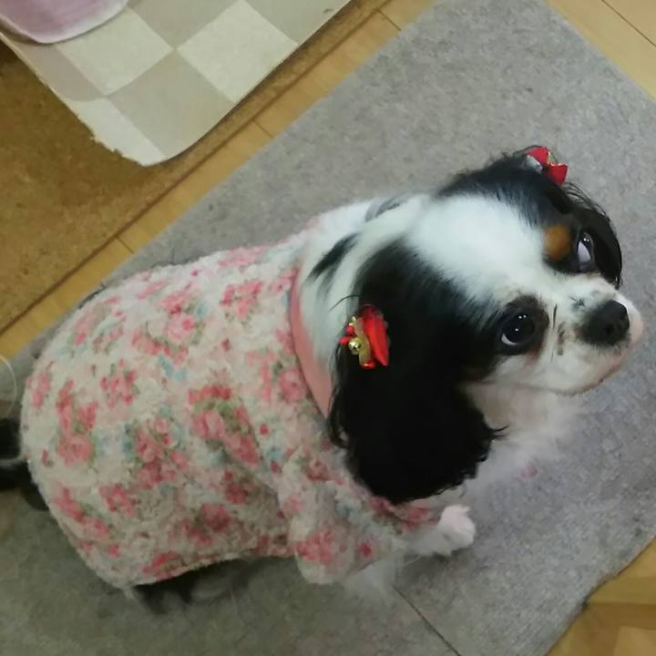 2b40b921 dd13 4f91 9cfa 73f51ac790b5 1514606791872