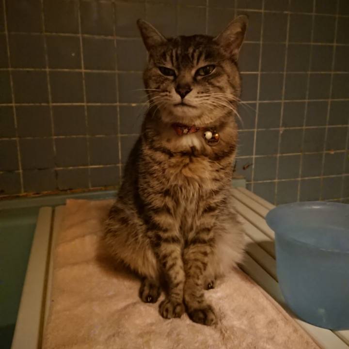 2b40c27c 48b5 486c ad22 467ec6d27371 1585389017879