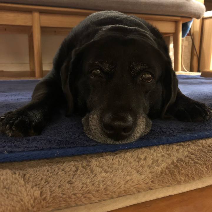 2b40c359 b72c 49f7 89e3 c2b1258c276e 1585656775592