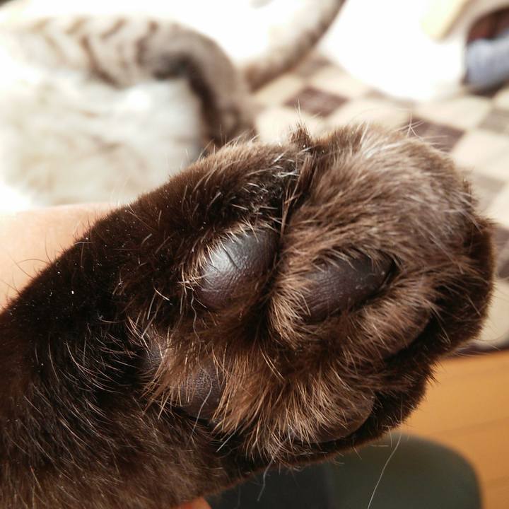 2b40cc96 b348 4d98 9a76 52b3107fd6ea 1517709134856