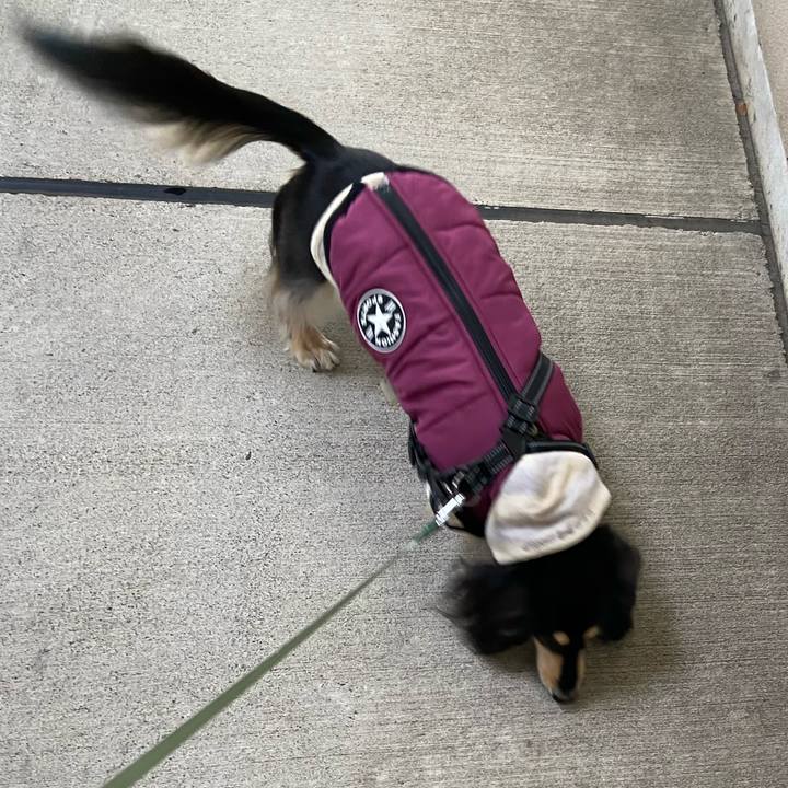 2b40f6cd ea4e 4480 bb04 89fd1df10f20 1736135548954