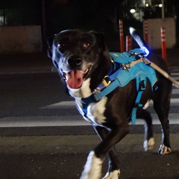 2b41212d 9b0a 4a04 ad0d c1c7e3d39a33 1680779349248