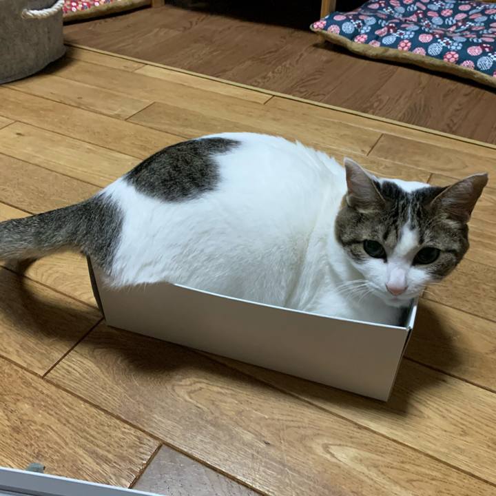 2b4127bc b528 4bc1 9264 cd1d0a3cb603 1582641768887