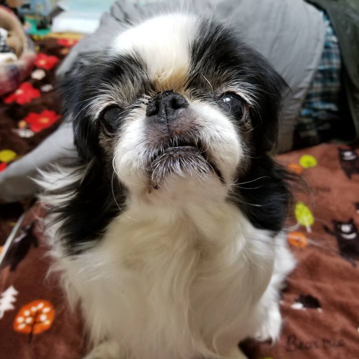 2b41773e 53c9 46d8 acd7 dec0f82a8b03 1521631774956