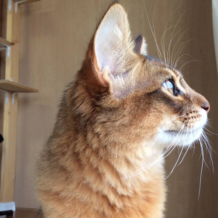 2b41af6e f168 4fe7 95f3 18f1490cfad5 1584055633892