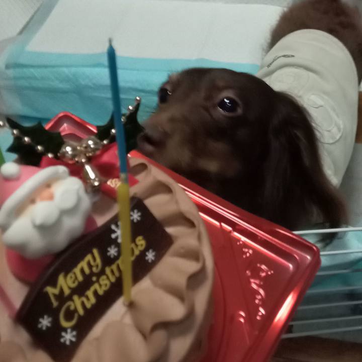 2b41f3c4 826d 4b0f b4f3 bebfef7328c1 1766611582232