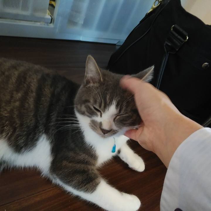 2b420375 0977 45ba a9b7 71316e7a3d31 1578094130659