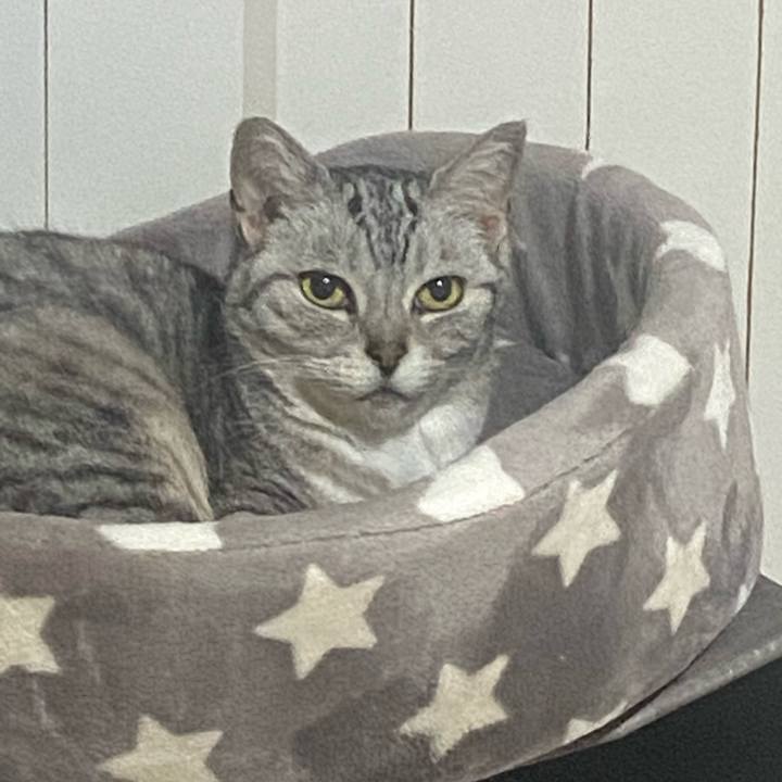 2b4245c0 c1d6 4a19 8c67 2d3f01ae3c21 1748793041944