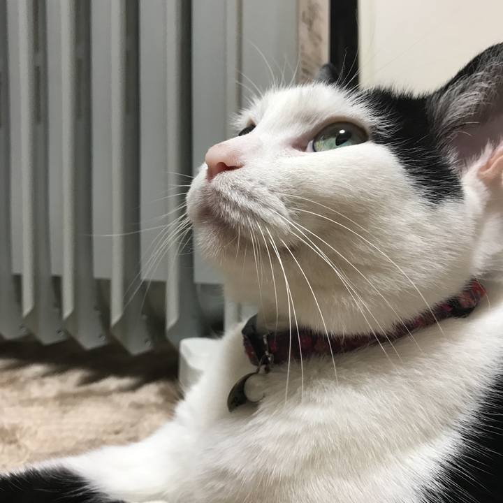 2b425418 b9be 439a a5e9 3c7b99864a0f 1511188312896