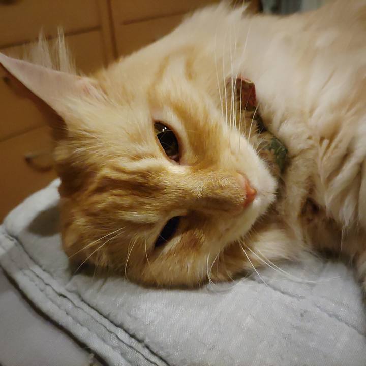 2b4272c9 c1c4 49cb bf96 e5448d4348b7 1660830966492