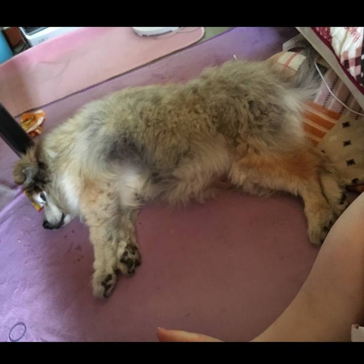 2b428e67 0496 48a3 947f 4ba98f6cd97b 1642458666320