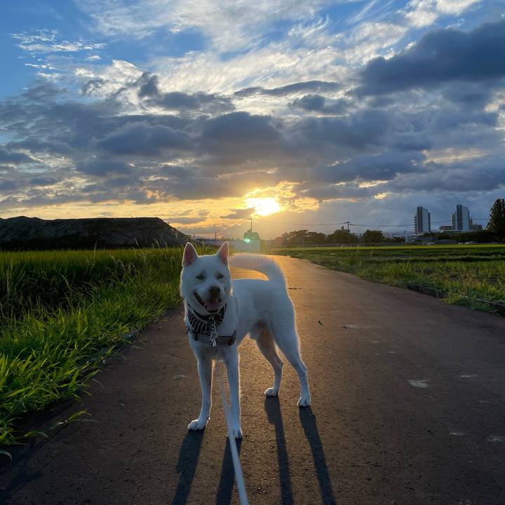 2b42af46 ed59 4806 a784 f448339fed42 1660511271345