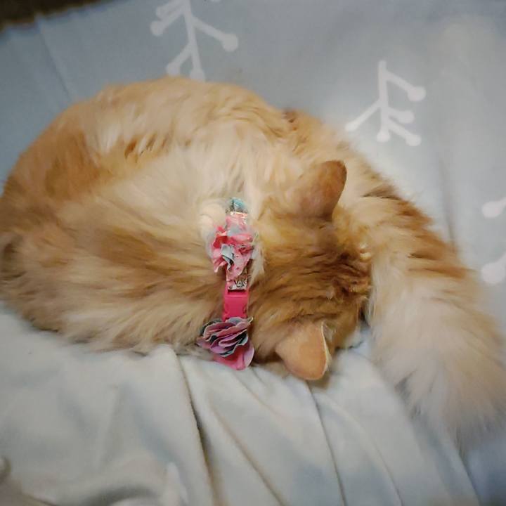 2b42c9d2 bcba 44a6 97d3 0e56b4d6271c 1678008850256