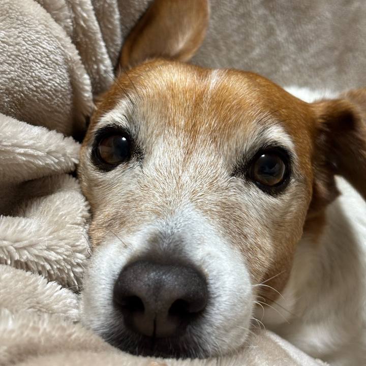 2b42ce7f 49f4 4bd7 9cd3 6f29240186b3 1764672821525