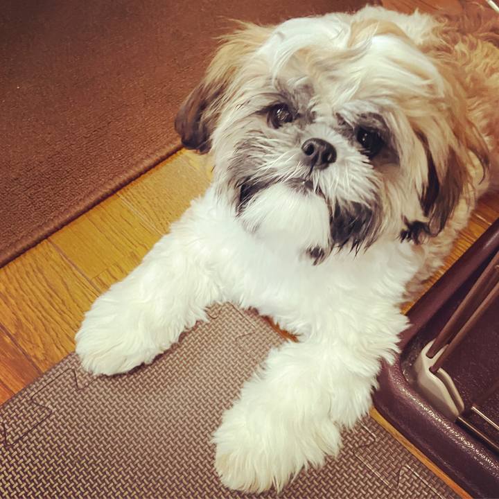 2b42d6bb 7c22 48e9 81b6 94ede11ab01b 1633742690295