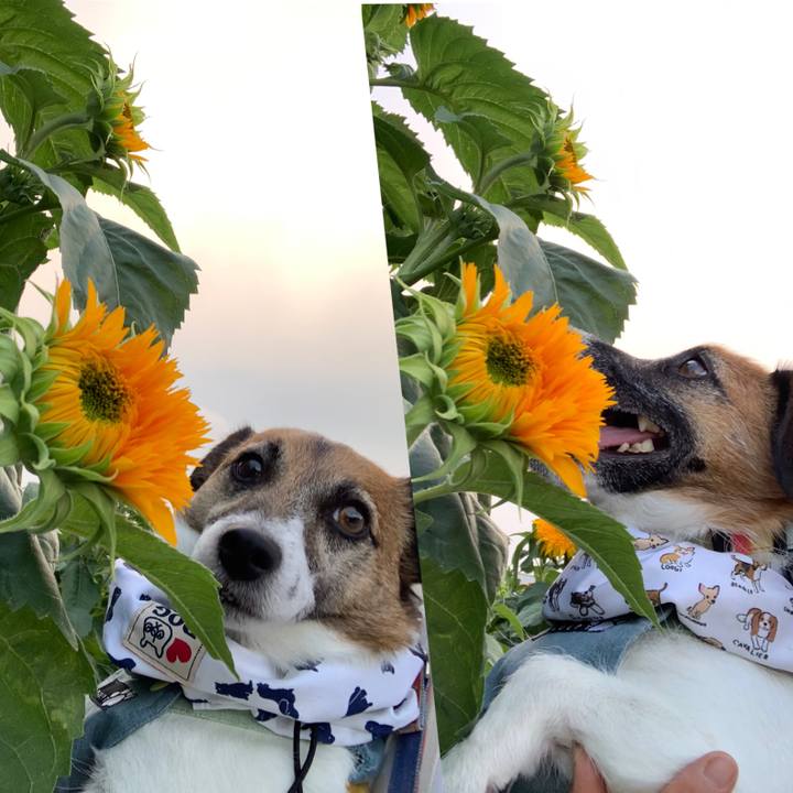 2b430d2f 03a1 4dce 993c 054b8738037a 1656160064384