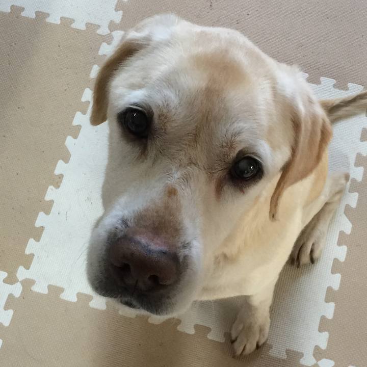 2b431da8 50e7 48be 8d10 8f4a453e5ced 1518589683781