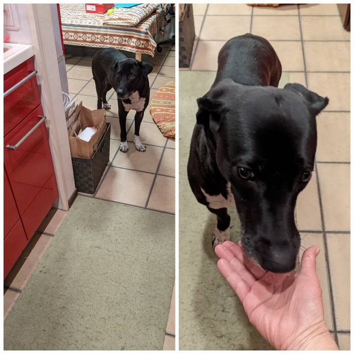 2b435bb0 e89c 4aef af68 4a1a5e3d3deb 1646045931343