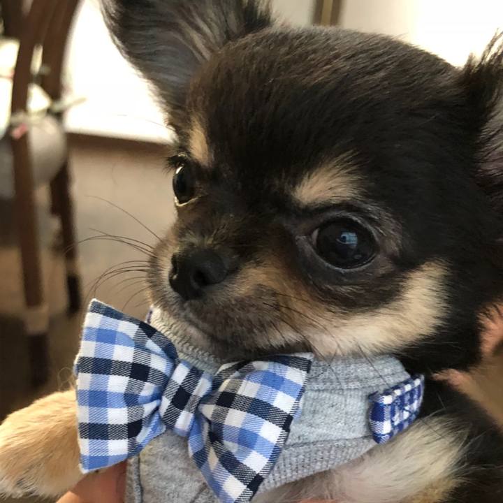 2b43d932 7971 43c4 83ae ac116da61735 1619185762615