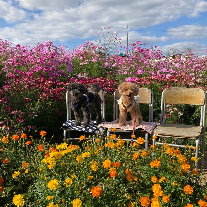 2b4424c7 1b3f 4c67 8f97 7f8c42ccc71b 1697361584225