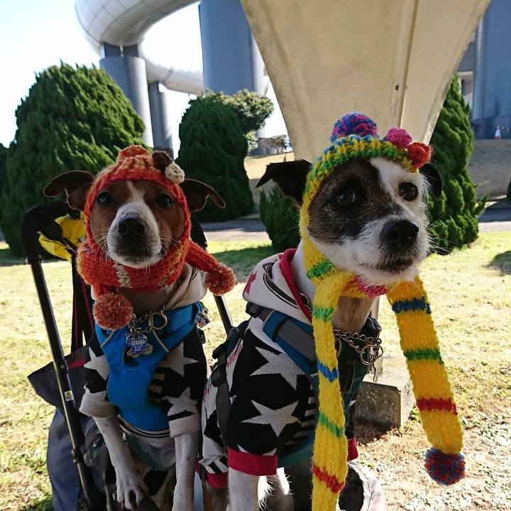 2b445e2d b1c3 4799 b8e7 b4661e1793c2 1549093672426