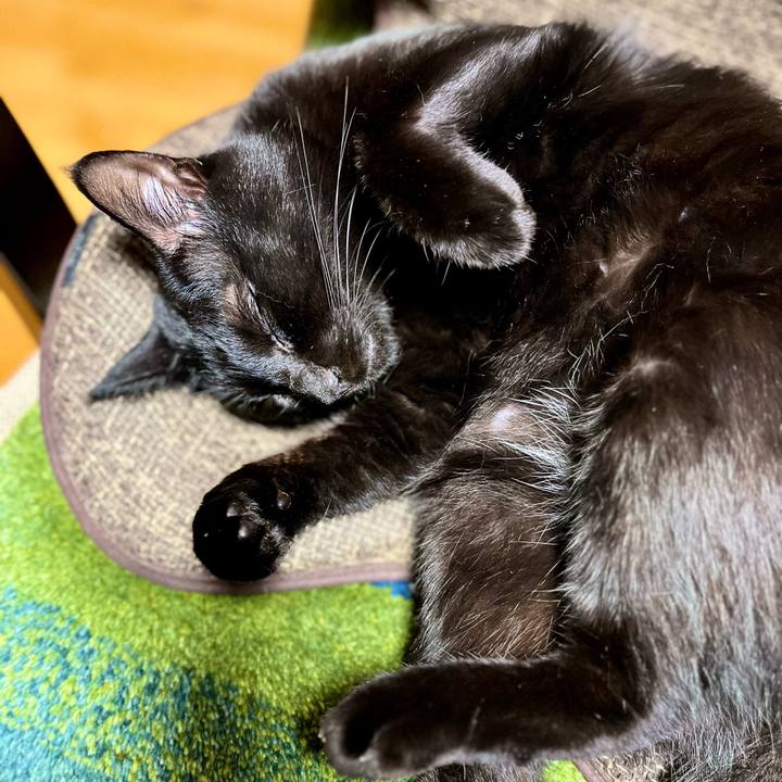 2b446611 1272 449a 9179 83414b971f1a 1690199122209