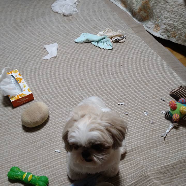 2b44673f 4698 4c86 aa62 b41aefcc2891 1619862479617