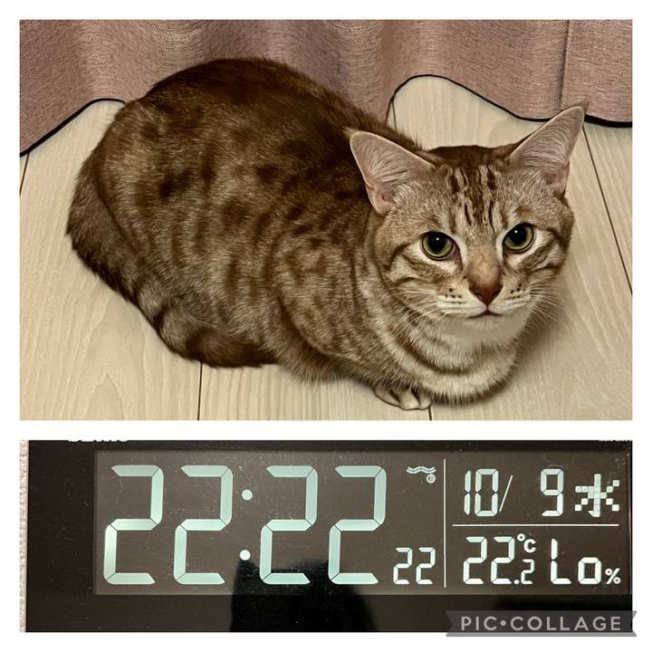 2b447c5f cdc6 43b4 8a47 4a2c1617804d 1728480285385